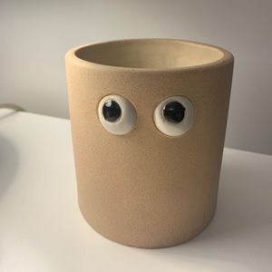 Henry Googly Eye Planter